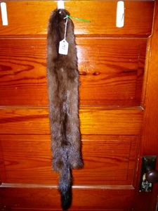 HERMOSA piel de visón salvaje curtida piel taxidermia 4 pies garras ARTESANÍA NATIVA 1 - Imagen 1 de 5