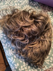 Paula Young Sagged Wig New In Box.Come C. - Picture 1 of 13