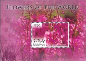 Maldives 2007 Flowers of the World/Plants/Nature/Fireweed 1v m/s (b9427j) - Picture 1 of 1