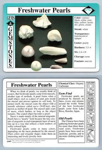 Freshwater Pearls #13.07 - Gems & Gemstones Treasures Of The Earth Grolier Card - Picture 1 of 1