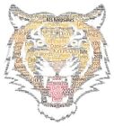 Word Art Picture Personalised Gift Present Keepsake Tiger Baskin Exotic 1
