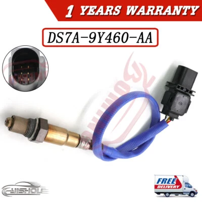 Sensor de oxígeno O2 UPSTREAM DS7A-9Y460-AA compatible con Ford C-MAX Focus Lincoln MKZ Foto 1 de 4