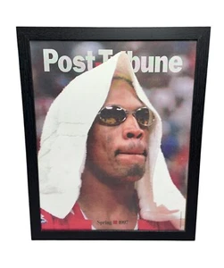 Dennis Rodman Chicago Bulls Spring 1997 Framed 11 X 14 Photo Post Tribune HOF - Picture 1 of 6