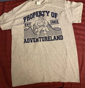 Adventureland Theme Park Long Island Shirt Mens Medium Gray - Picture 1 of 8