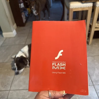 Macromedia Flash MX Using Flash MX - Image 1 of 4