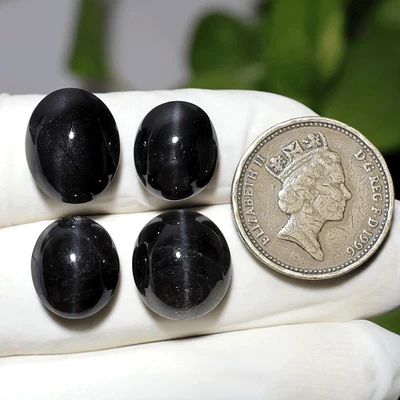 Ojo de la Noche ~ Raro 4 piezas Diópsido Natural Ojo de Gato 13-15 mm Cabujón Piedra Preciosa Foto 1 de 4