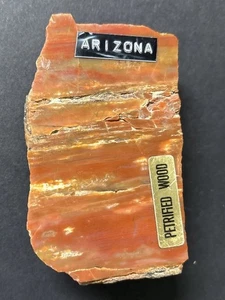 7.6 Oz. Arizona Rainbow Petrified Wood Beautiful - Picture 1 of 12
