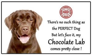 Labrador Chocolate Dog Gift - Perfect Dog - Fun novelty Flexible 5" x 3" Magnet - Picture 1 of 2