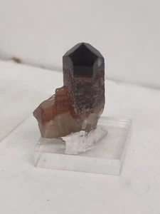 Seltene Black Widow Rauchquarz Spitze handgegraben Colorado USA Kristalle schwer zu finden  - Bild 1 von 5