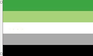 AROMANTIC 5x3 feet FLAG 150cm x 90cm flags PRIDE LIFESTYLE - Picture 1 of 1