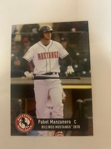 2018 Pabel Manzanero Card Billings Mustangs Team Card 