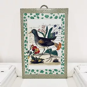 John Derian Vogel Wandfliese Plakette gewöhnlicher Moorhenne Porzellan Wohndeko Vintage NY - Bild 1 von 6