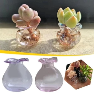 5Pcs Miniature Accessorie Miniature Cat Whisker Vase for Succulent - Picture 1 of 12