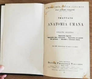Trattato di anatomia umana vol. 2 - C. Falcone - Francesco Vallardi - 1931 - AR - Foto 1 di 2
