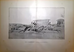 Stampa antica ROMA CORSA DI CAVALLI ALLE CAPANNELLE 1890 Antique print - Foto 1 di 4