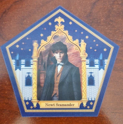Harry Potter Chocolate Frog Cards Pentagonal Holographic Set Wizarding World - Image 1 of 2