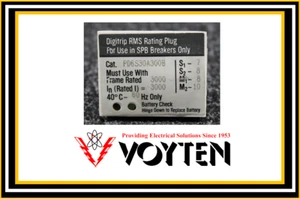 ENCHUFE DE CLASIFICACIÓN EATON DIGITRIP RMS PD6S30A300B - Imagen 1 de 1