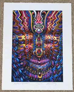 Alex Grey Ayahuasca Visitation Art Print S/# 200 Visionary Psychedelic Poster - Picture 1 of 5