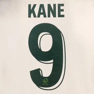OFFICIAL KANE #9 FC Bayern Oktoberfest 2025-26 Print - Picture 1 of 6
