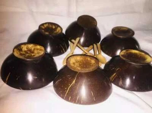 Coconut Shell Dessert Cup Handmade 100% Natural Eco Friendly Free Shipping - Picture 1 of 6
