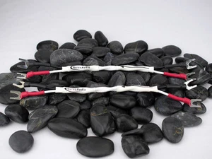 Nerve Audio AXON 12 Jumpers - Picture 1 of 3