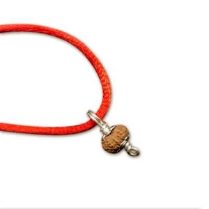 20 Mukhi Indonesian Java Rudraksha Small 12mm-14mm Silver Pendant IGL Certified - Picture 1 of 2
