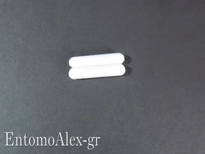 ancoretta magnetica PTFE Ø6x30mm (2 pz) C agitatore magnetico becher LABORATORIO - Foto 1 di 2