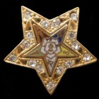 OES - Rhinestone Lapel Pin/Broach - 1 inch -New! Order of the Eastern Star 