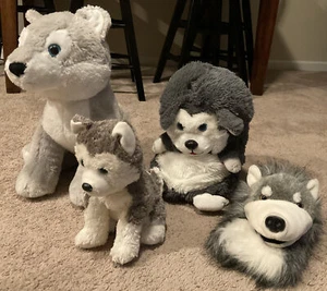 Menge 4 Siberian Husky Plüschtier Set: Fiesta, Ty, Jay Play, Aurora Puppe EUC - Bild 1 von 3