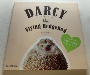 Darcy the Flying Hedgehog Book - Picture 1 of 3