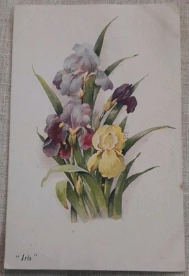 Post WW1 Greetings Card Dated 14th September 1920 - Image 1 of 2