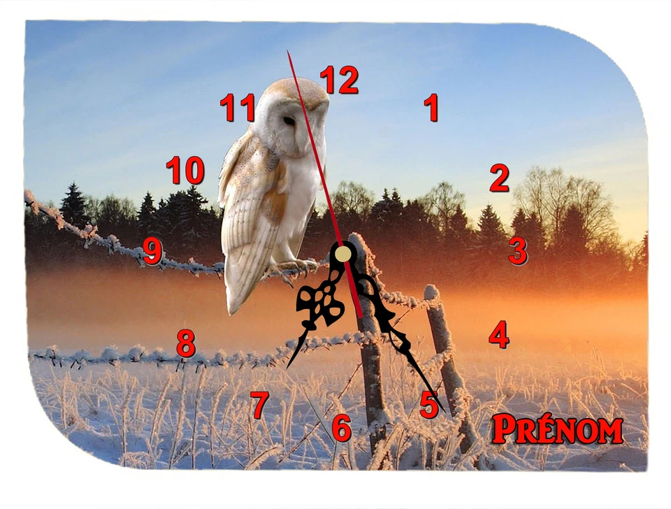 horloge pendule murale REF F20 CHOUETTE à personnaliser PRENOM  AU CHOIX - Photo 1/1