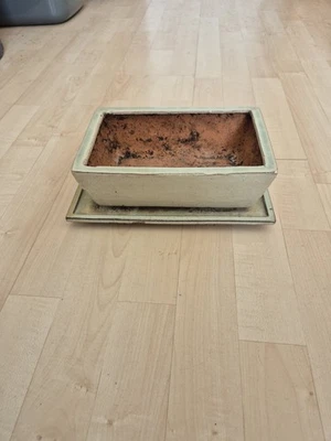 Bonsai Schale Echt Original Pflanzen Chinese Ulm Keramik - Bild 1 von 4