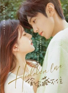 DVD chinesisches Drama versteckte Liebe (1-25 Ende) englischer Untertitel, alle Regionen - Bild 1 von 6