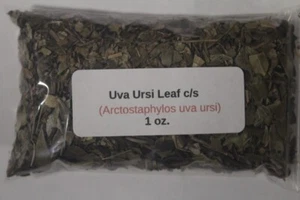 1 oz. Uva Ursi Leaf c/s (Arctostaphylos uva ursi) - Picture 1 of 1