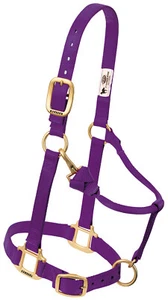 Weaver Leather Original Adjustable Nylon Horse Halter,Large, Purple, 35-7036-PU - Picture 1 of 1