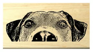 P119 Peeking Dog rubber stamp - Picture 1 of 1