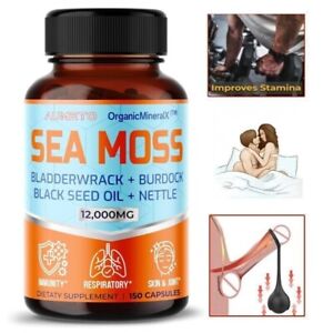 Sea Moss 12000g Black Seed Oil 2000Mg Ashwagandha 1000Mg Turmeric 1000Mg Blad...