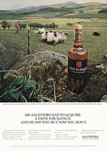 1968 100 Pipers: Ancestors Had to Acquire Taste Vintage Print Ad - Picture 1 of 1