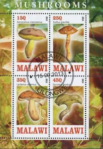 Malawi Mushroom Suillus Grevillei Fungus Souvenir Sheet of 4 Stamps - Picture 1 of 5