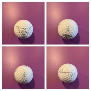 LOGO PELOTA DE GOLF - (1) MODELO 2022 #1909 GOLF DE FONTAINEBLEAU CLUB TRUVIS! ¡NUEVO! - Imagen 1 de 5