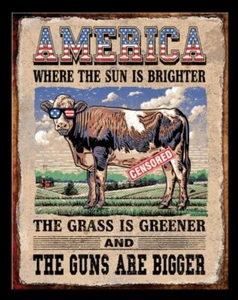 Amerika Sonne ist heller Gras ist grüner Blechschild (16" x 12,5") - Bild 1 von 1