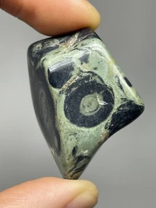 Kambaba Jasper Polished Pocket Stone 31.6g Crocodile Jasper Meditation Worry L7 - Picture 1 of 12