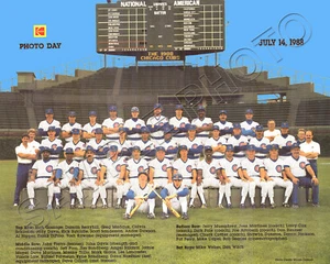 1988 CHICAGO CUBS BASEBALL TEAM 8X10 PHOTO - Picture 1 of 1