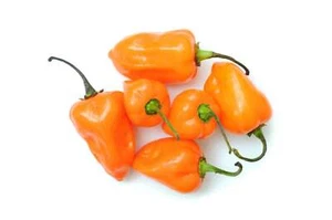 CHILLI PEPPER "Habanero Orange" 50 Seeds - ORGANIC - Picture 1 of 2