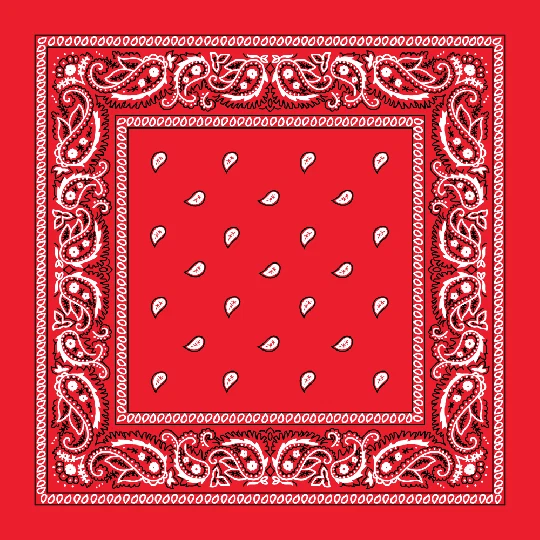 Lote de 12 piezas 100 % algodón estampado cachemira pañuelo cubierta facial cabeza urdimbre diadema bufanda Foto 1 de 4