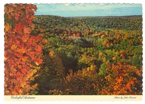 Vintage MI Great Lakes Scenic Autumn Foliage Dexter Supreme Postcard 47526D - Picture 1 of 2