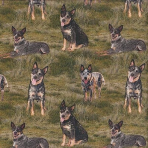 Blue Heelers on Grass Dogs Merino Muster Farm Quilting Fabric 1/2 Metre - Picture 1 of 1