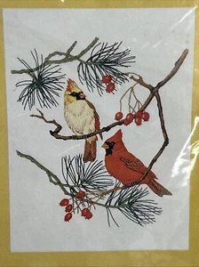 Kit Bordado Dimensiones Cardenal En Pino Crewel 1131 Cottage Core Bird Invierno - Imagen 1 de 5