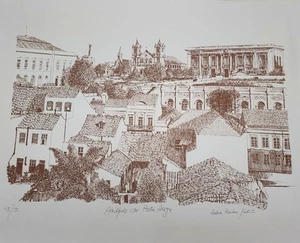 Lithograph Acrópole de Porto Alegre Rulian Prates 2013 Signed & Numbered 48/50 - Picture 1 of 8
